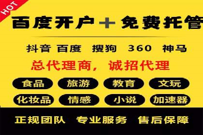 百度推广与SEO结合案例：提升网站排名的技巧